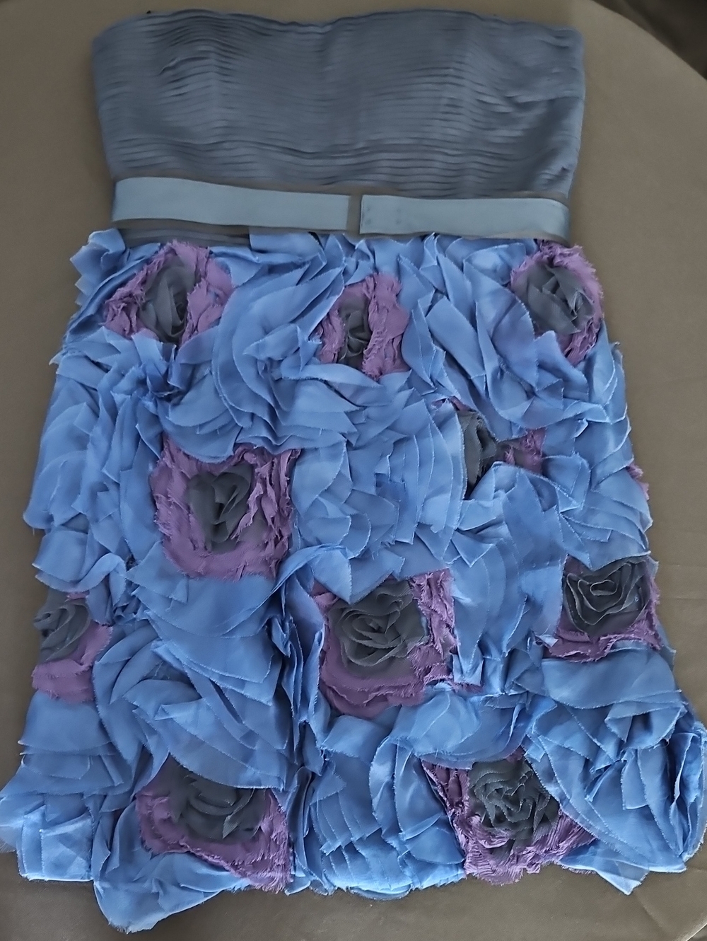 BCBGMaxAzria Blue and Purple Floral Appliqué Mini Skirt